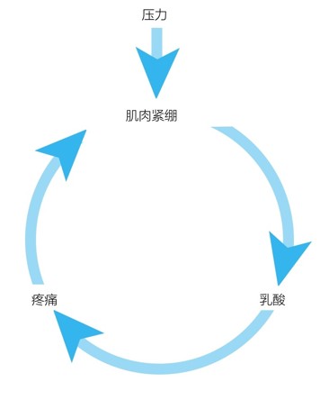 压力肌肉紧绷SM RTA疼ƒ痛SPƒNDA MUSKLER MJ÷L乳酸KSY